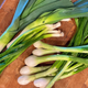 Image for article titled Five Spring Allium Recipes to Make Before It’s too Late